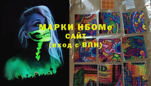 сатива Аркадак