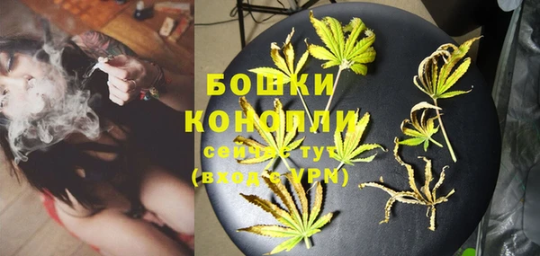 сатива Аркадак