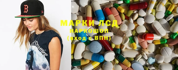 сатива Аркадак