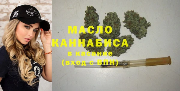 хмурый Няндома