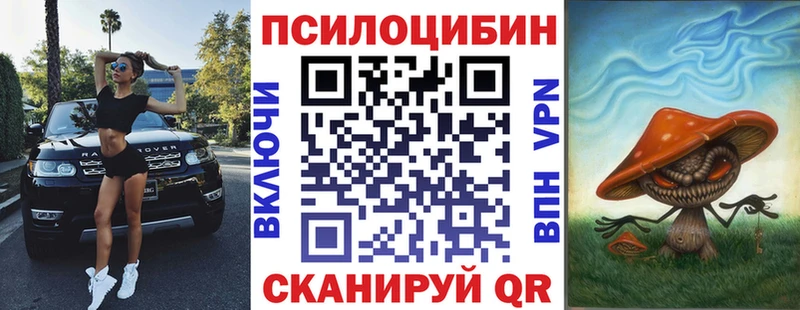 Псилоцибиновые грибы Psilocybine cubensis  Россошь 